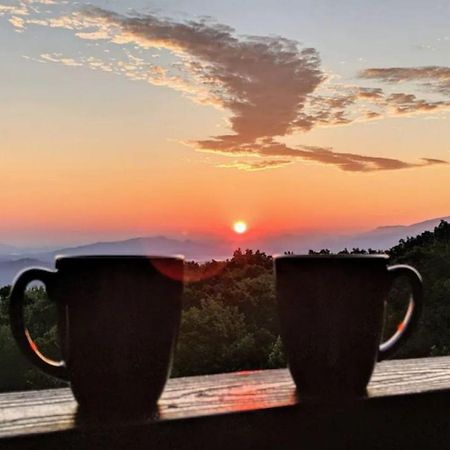 Wow Views!!-Mountain Escape-Outdoor Pool-Close To Downtown-Wifi-Cable-Private Balcony แกตลิงเบิร์ก ภายนอก รูปภาพ